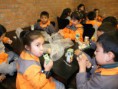 /album/kidzania-2012/a58-jpg/